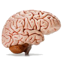 brain cancer
