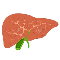 gall cancer